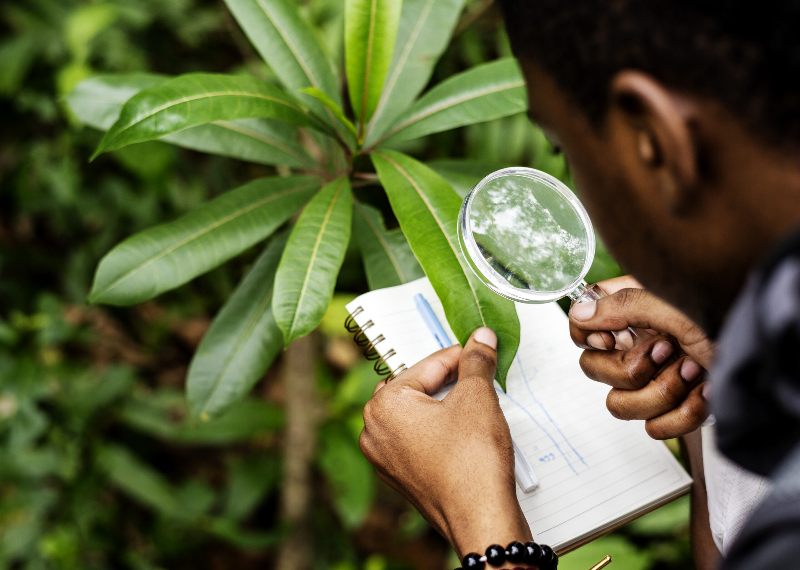 Biologist in a forest