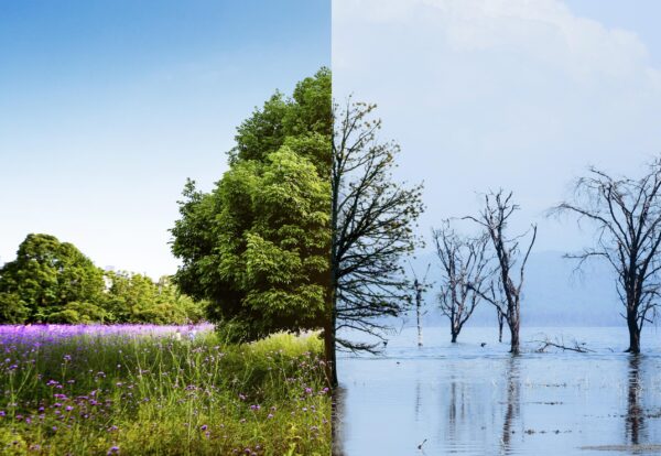 climate-change-concept-collage
